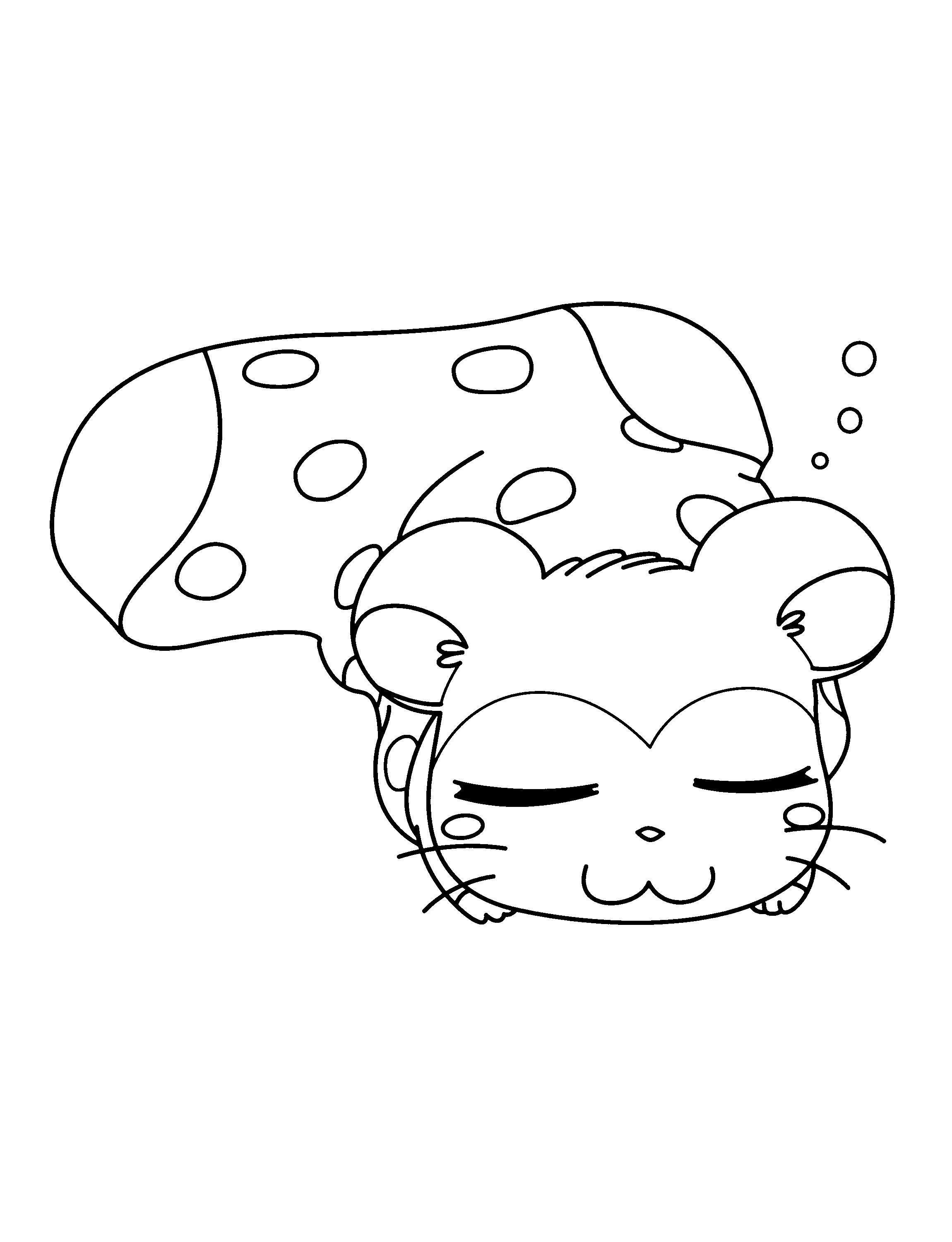 Hamtaro #14895