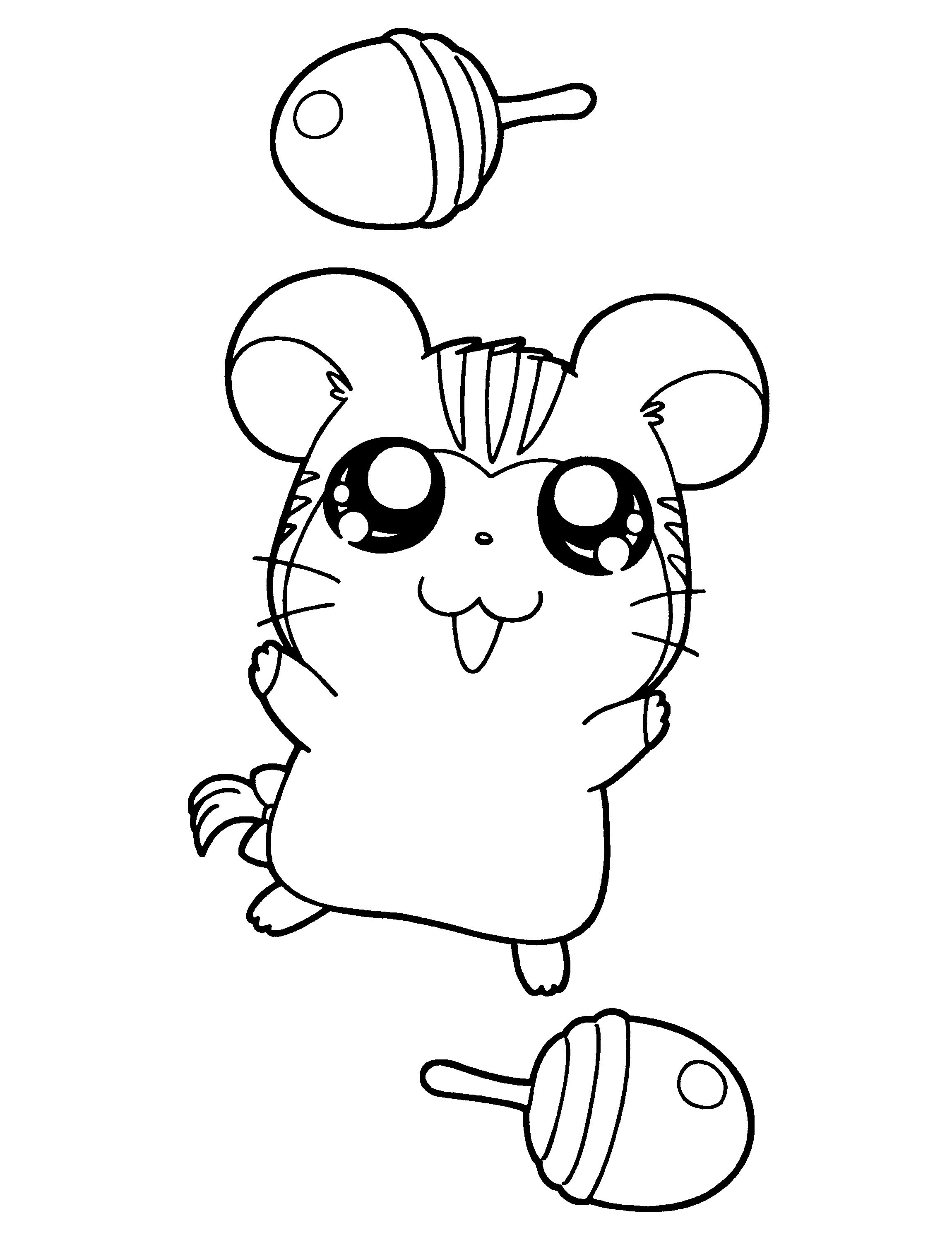 Hamtaro #14900
