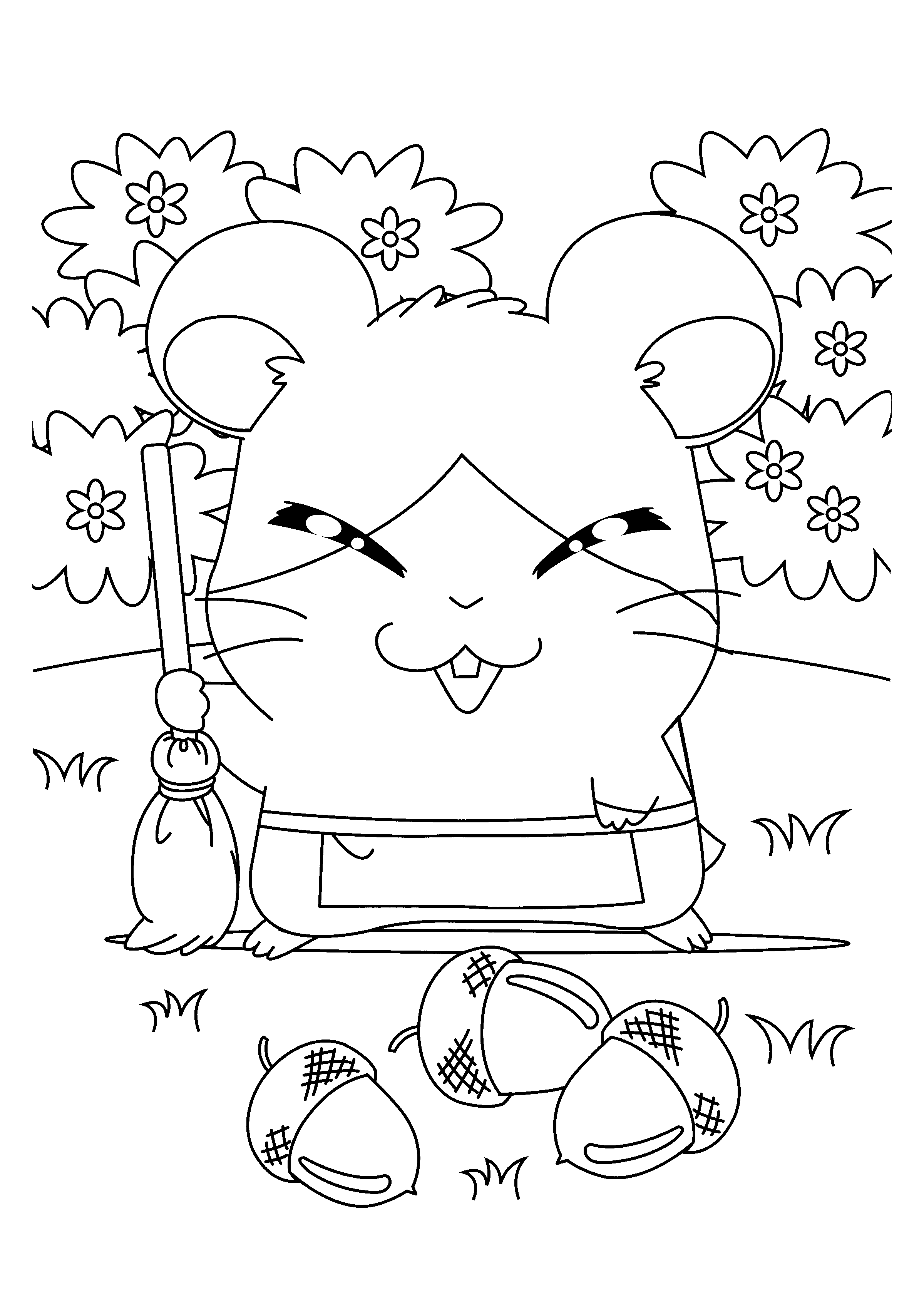 Hamtaro #14928