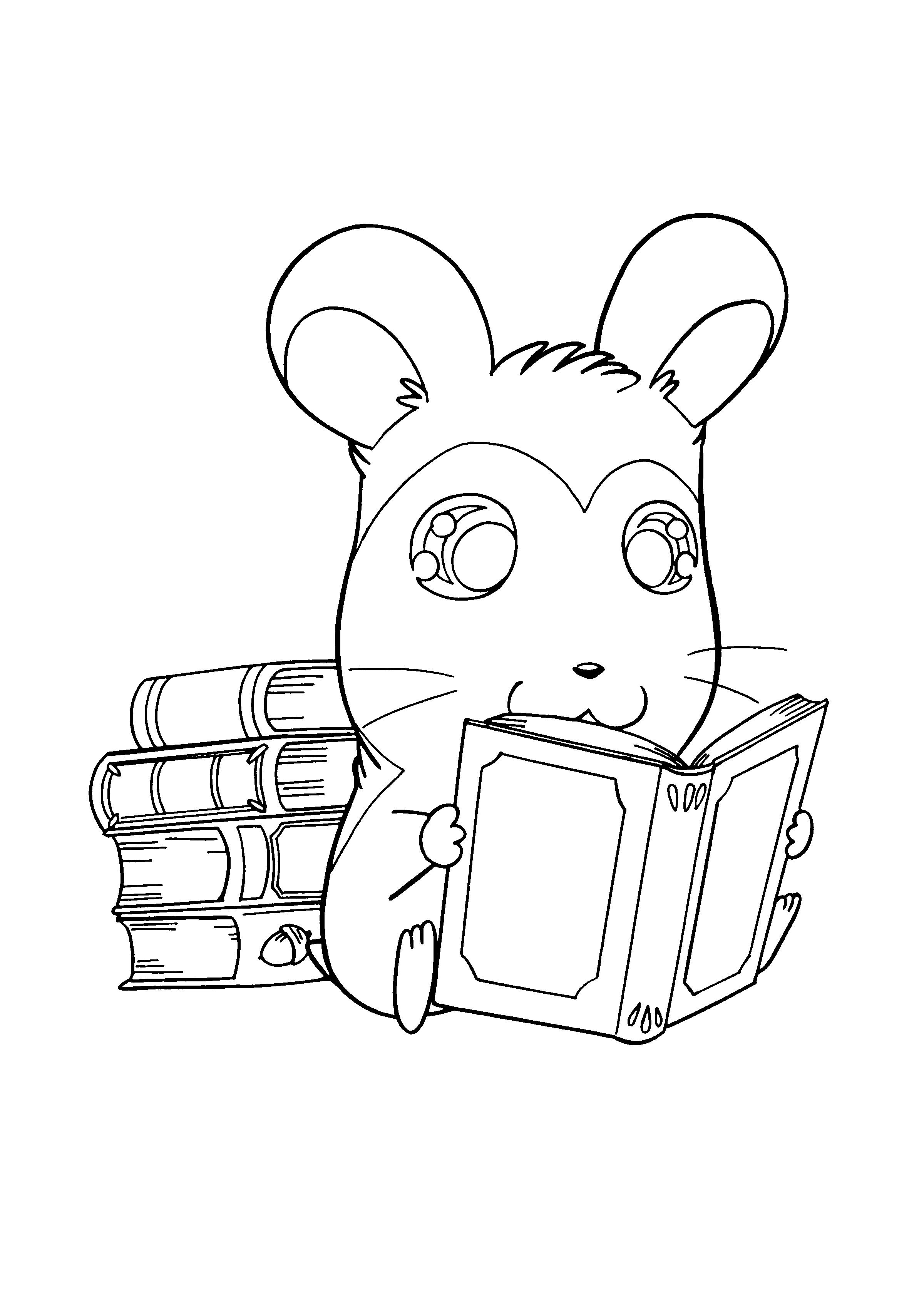 Hamtaro #14949