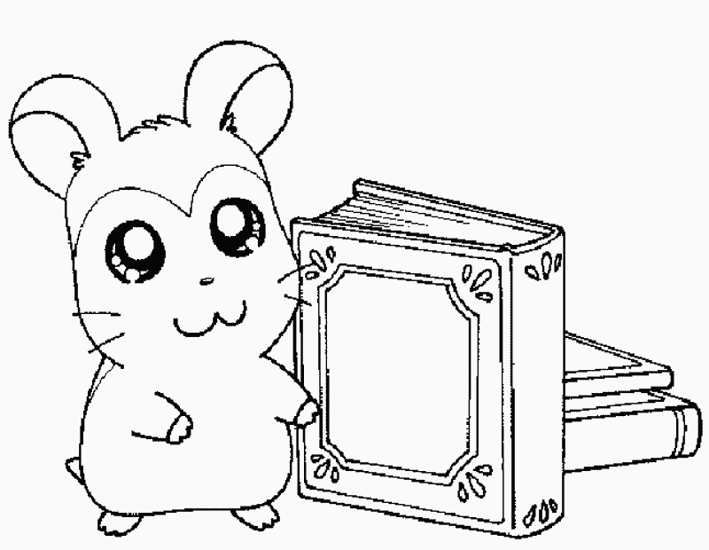 Hamtaro #14982