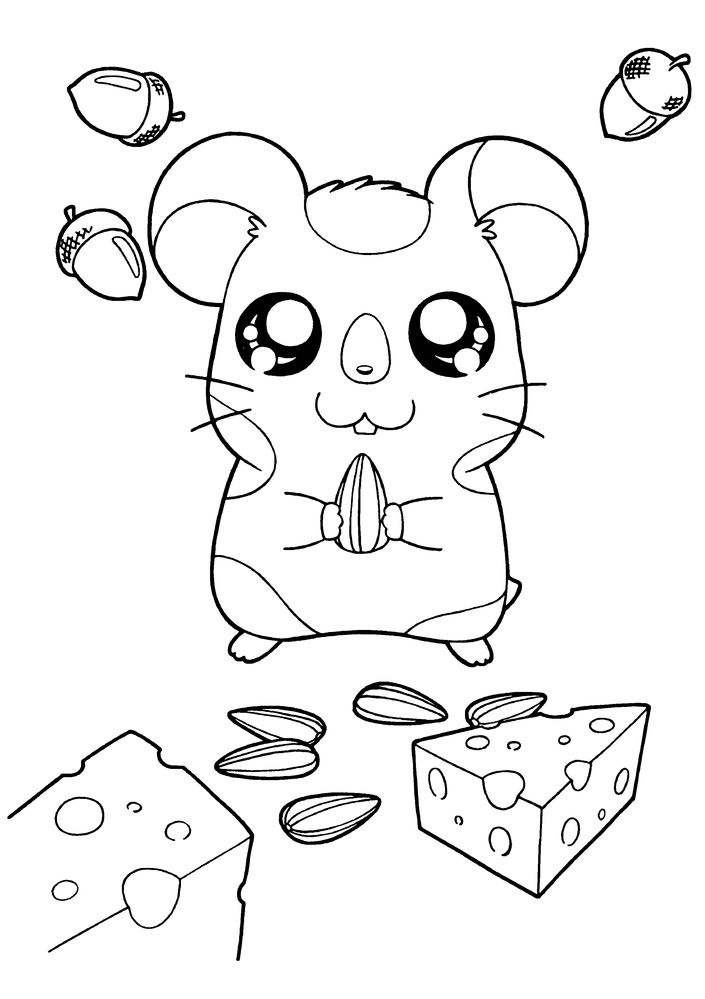 Hamtaro #15013