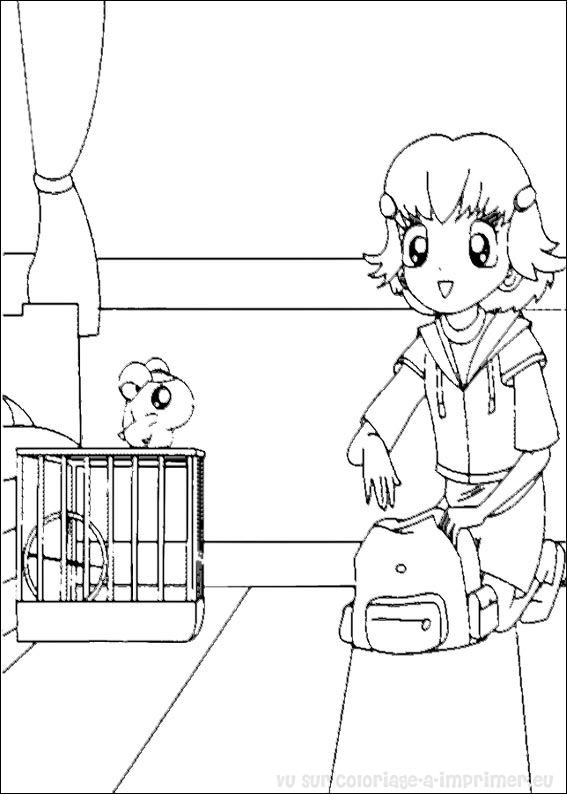 Hamtaro #15024