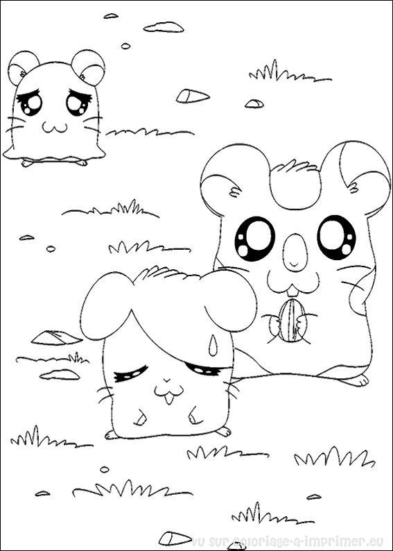 Hamtaro #15044