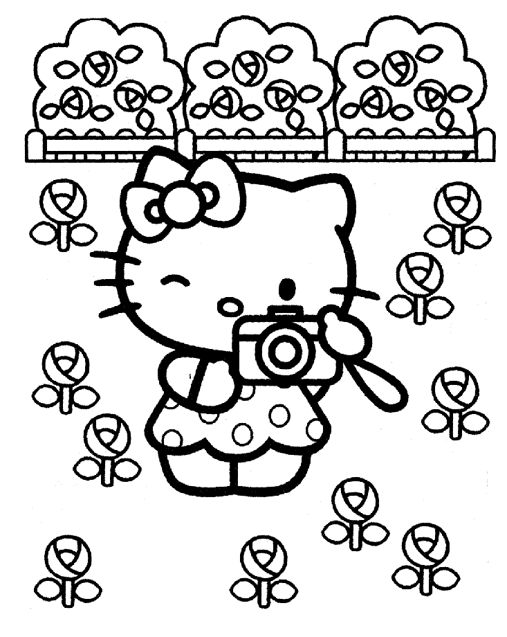 Hello Kitty #15209