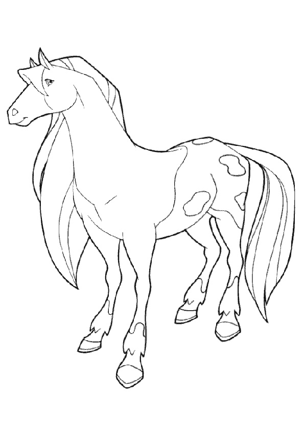 Caballos encantados #15364