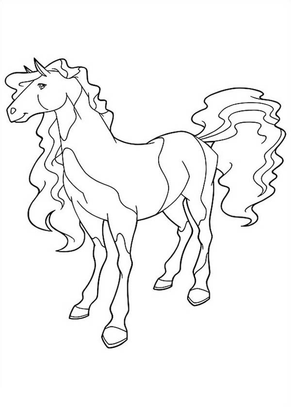 Caballos encantados #15373