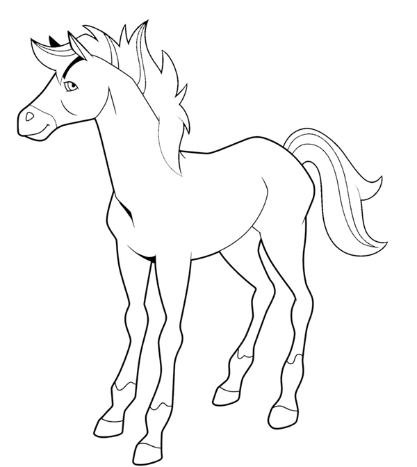 Caballos encantados #15380
