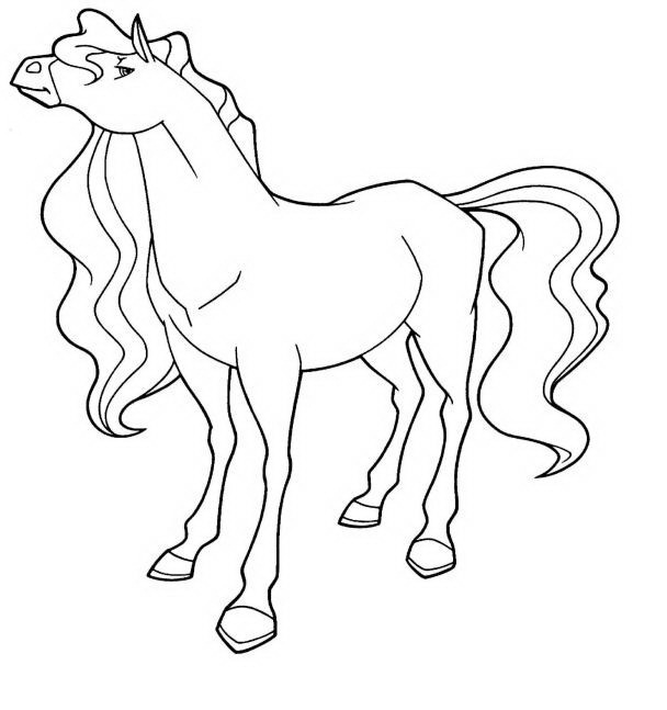 Caballos encantados #15383
