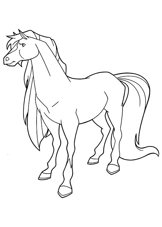 Caballos encantados #15391