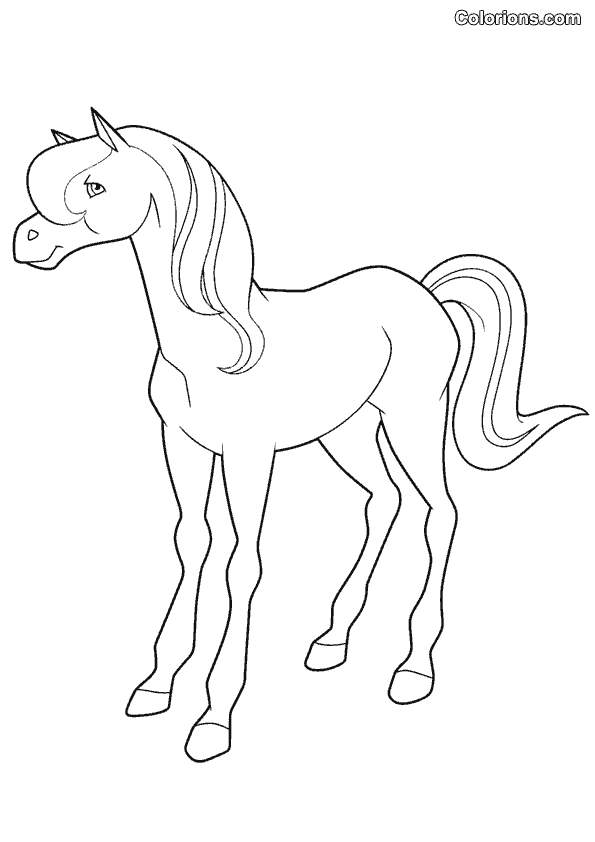 Caballos encantados #15394