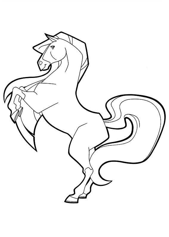 Caballos encantados #15396