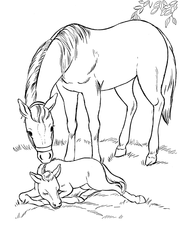Caballos encantados #15407