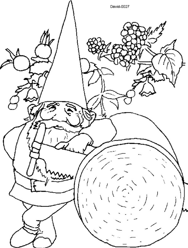 La llamada de los gnomos #15855