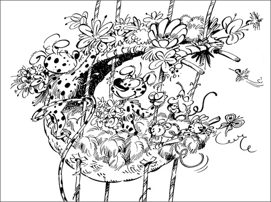 Marsupilami #16428