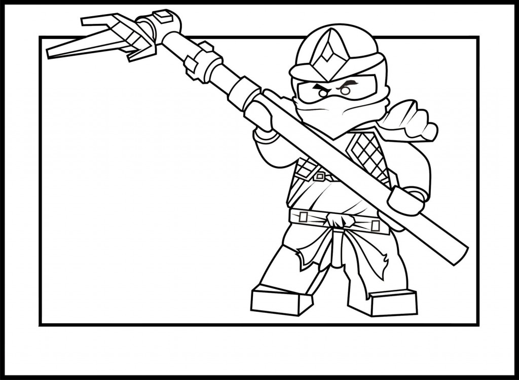 Ninjago #17336