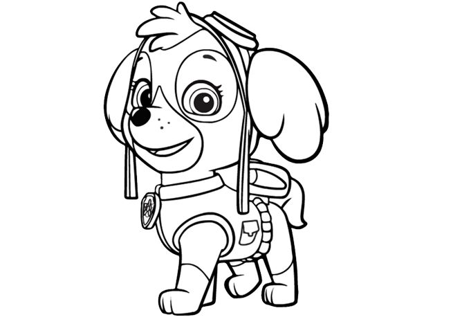 La patrulla canina #17617