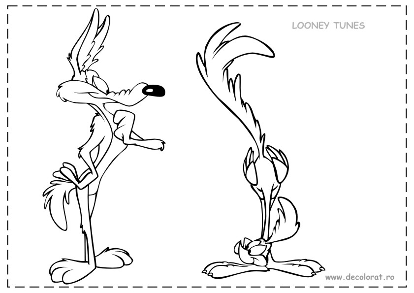 El Coyote y el Correcaminos #18115