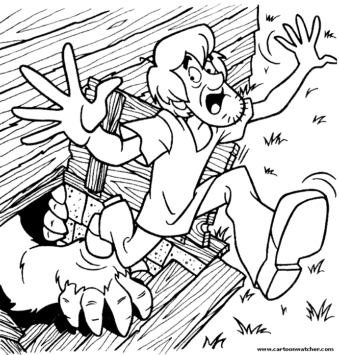 Scooby doo #19033