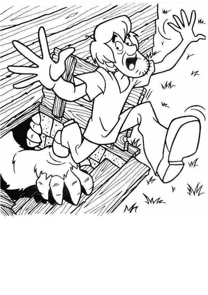 Scooby doo #19050