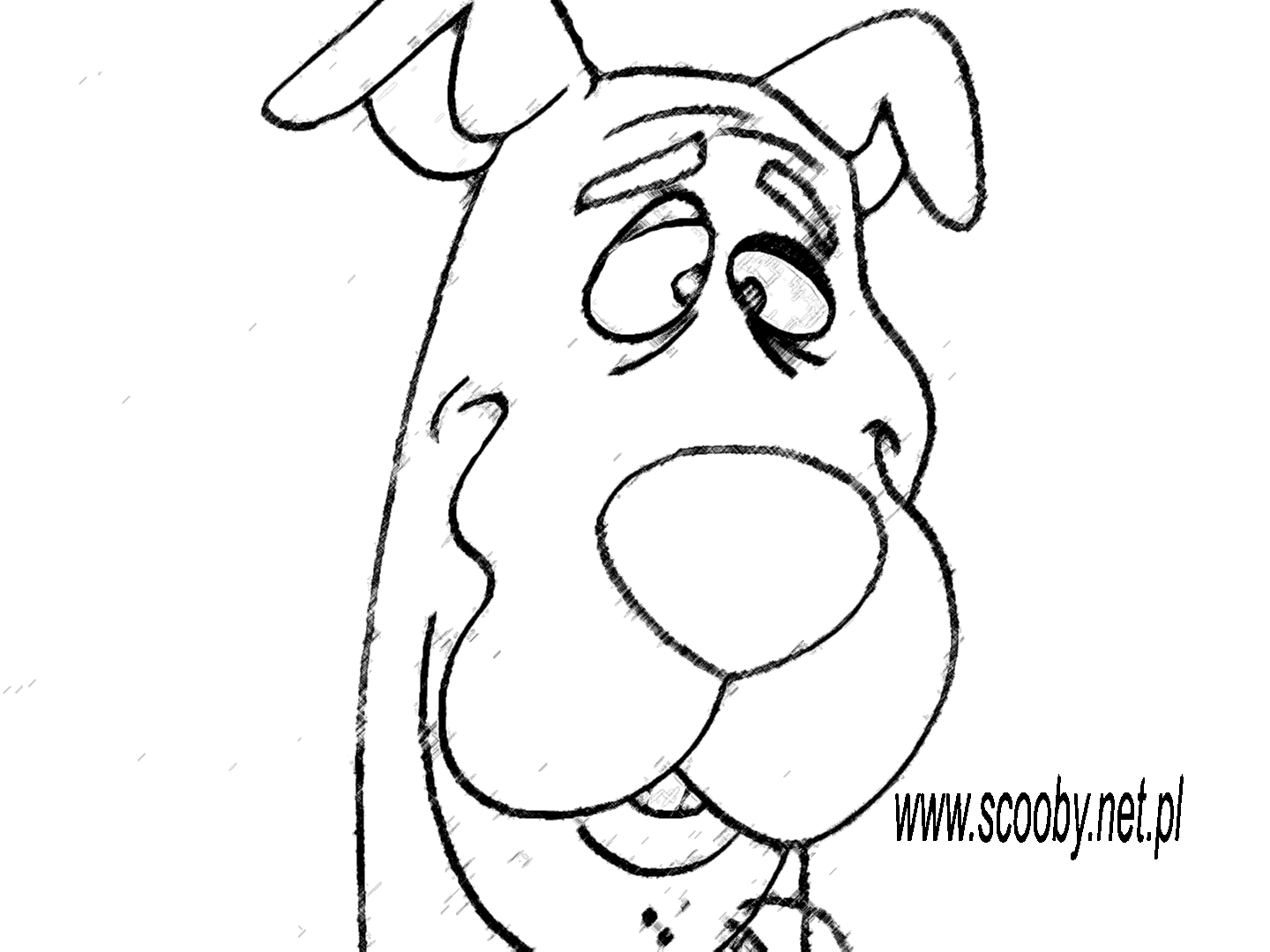 Scooby doo #19076