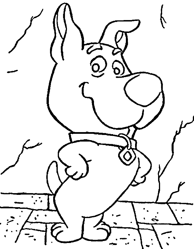 Scooby doo #19077