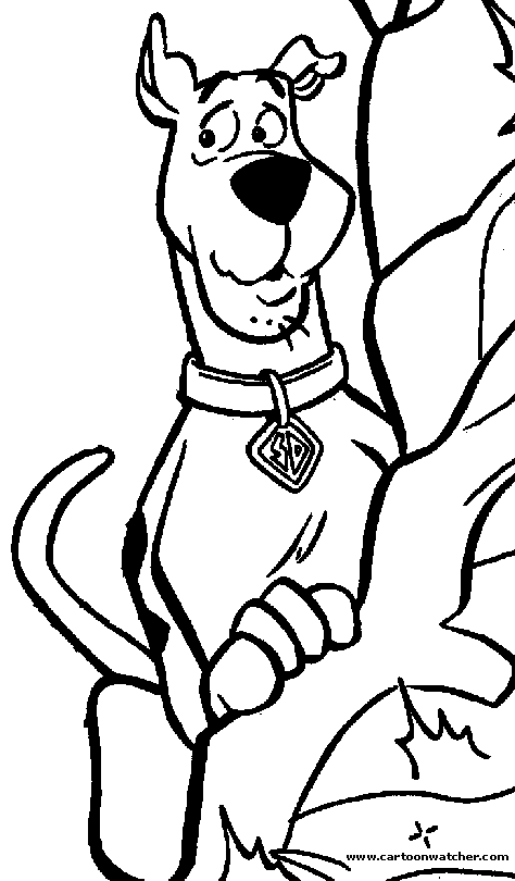 Scooby doo #19084