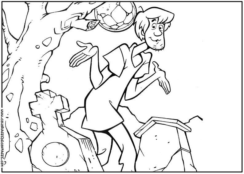 Scooby doo #19170