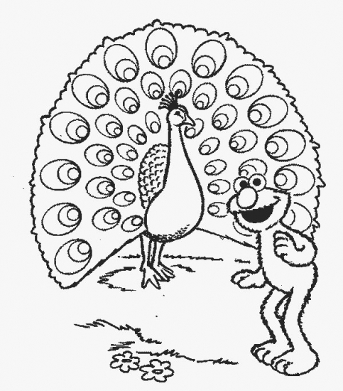 Sesame street #19259