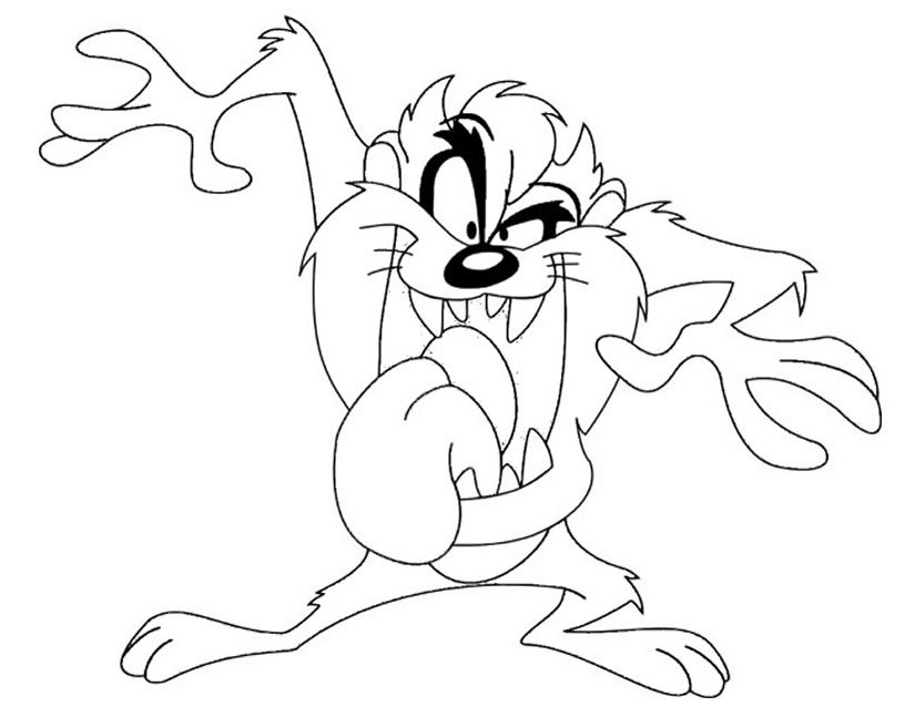 Taz #19864
