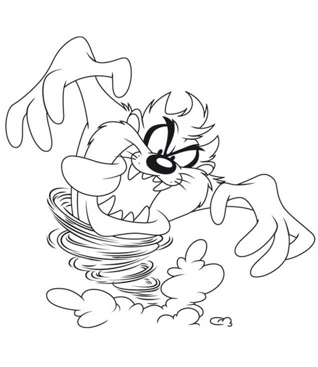 Taz #19865