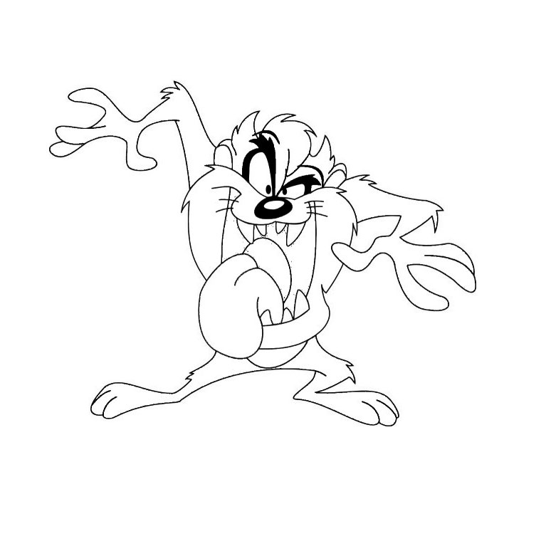 Taz #19877