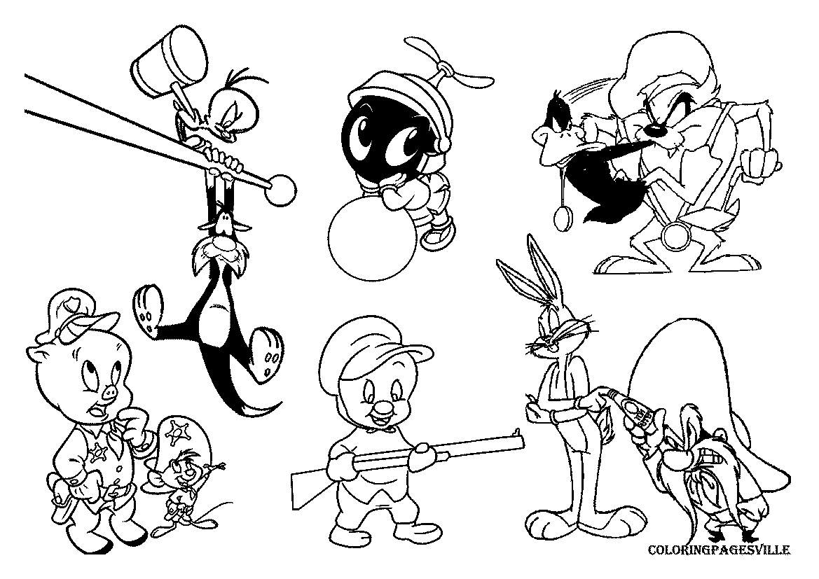 Taz #19878