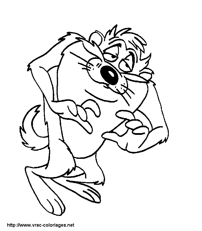 Taz #19880