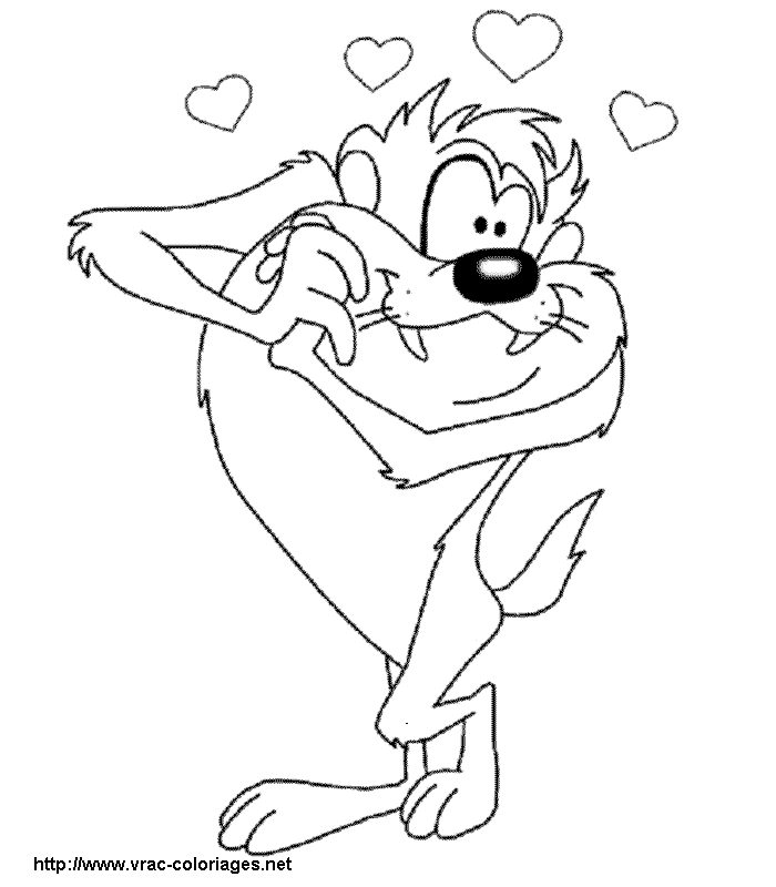 Taz #19884