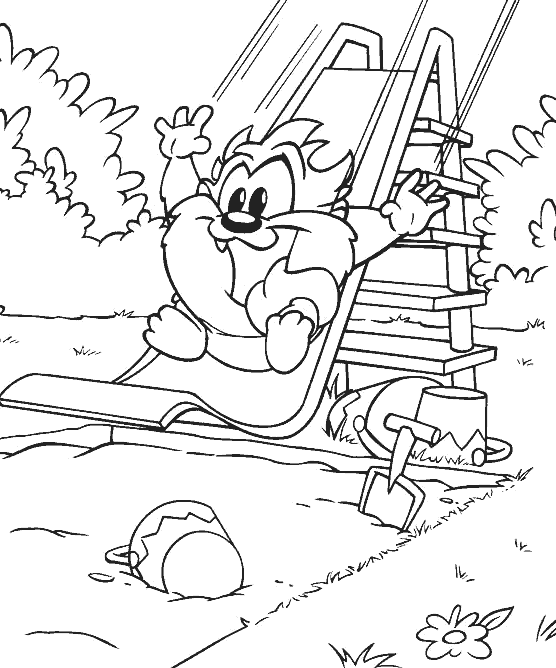 Taz #19889