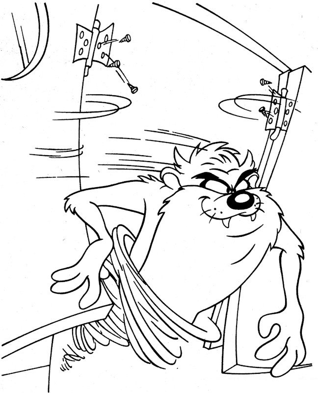 Taz #19892