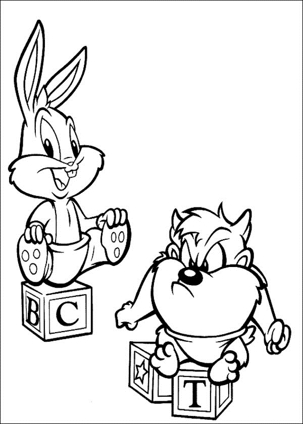Taz #19894