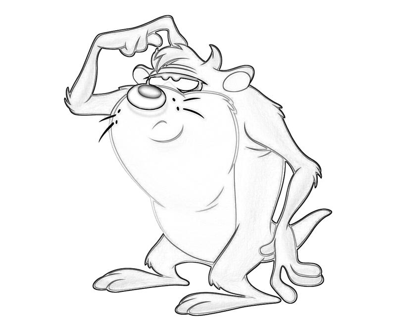 Taz #19899