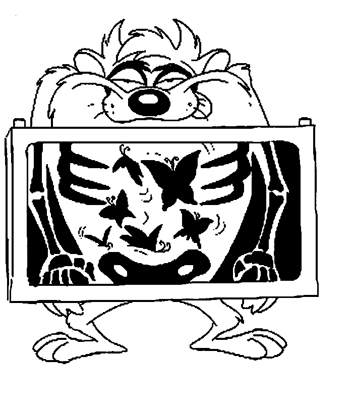 Taz #19902