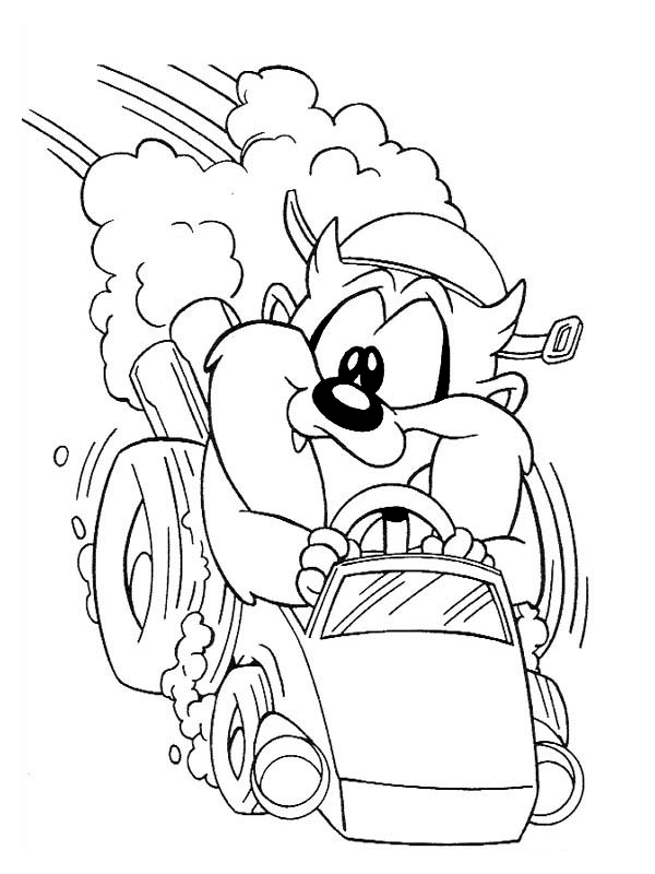 Taz #19903