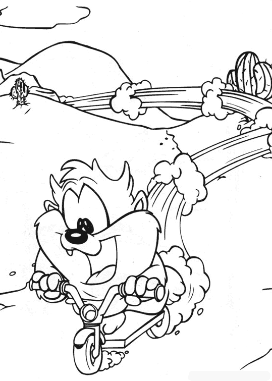 Taz #19904