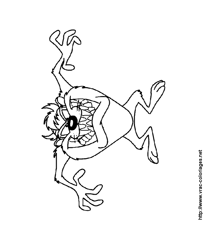 Taz #19907