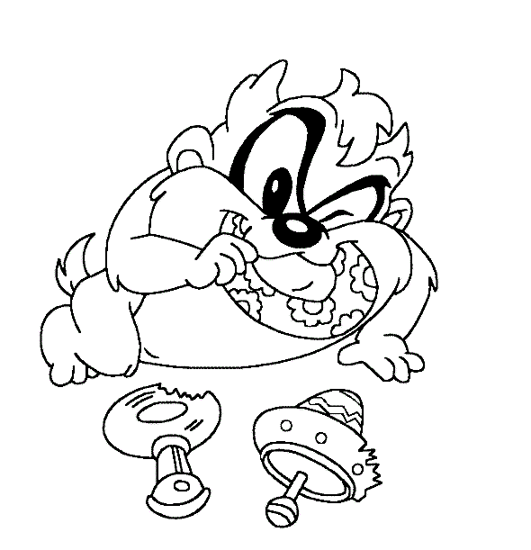 Taz #19909