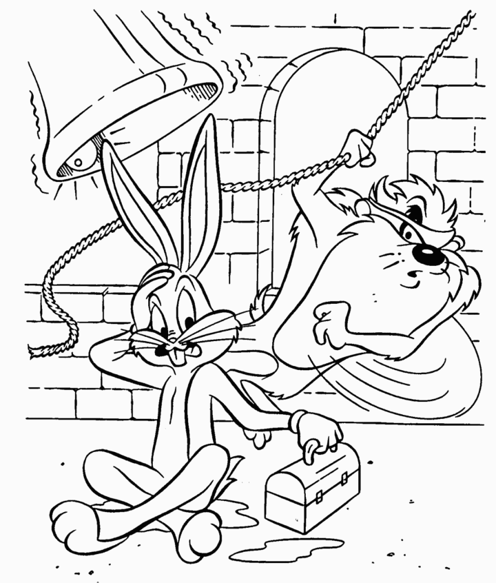 Taz #19913