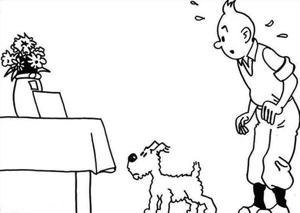 Tintin #20211