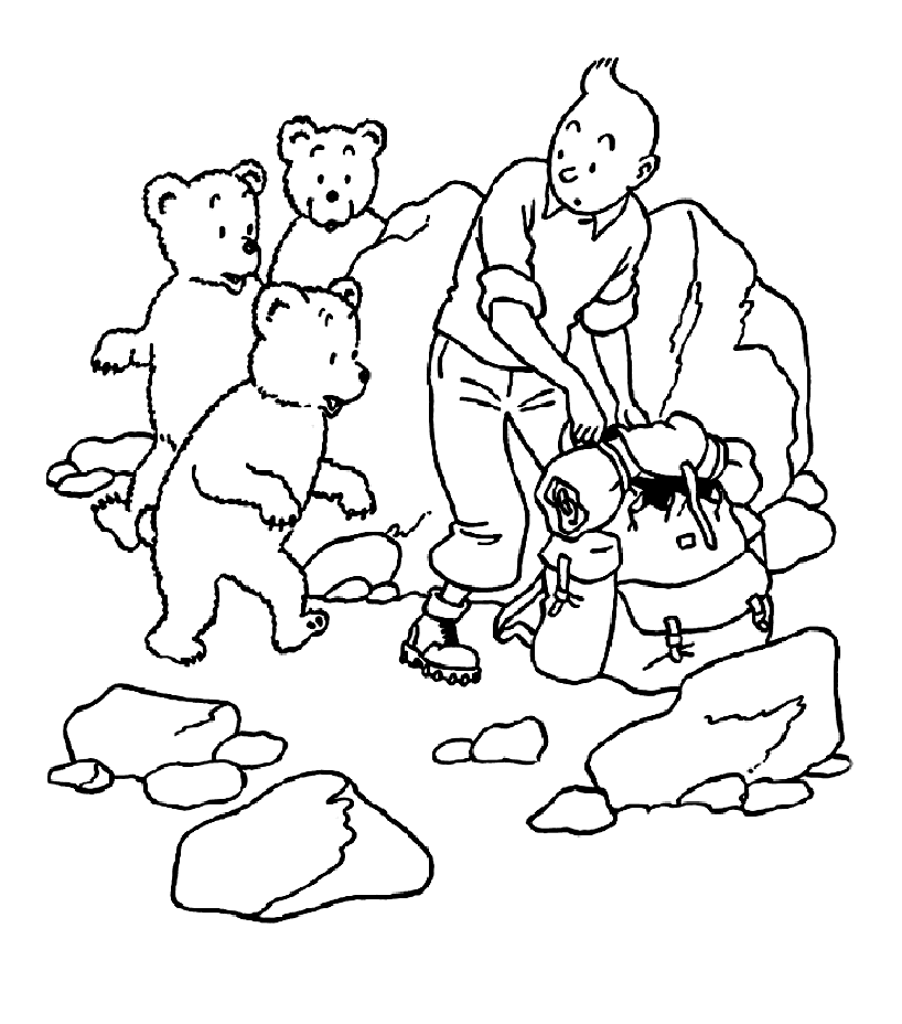 Tintin #20214