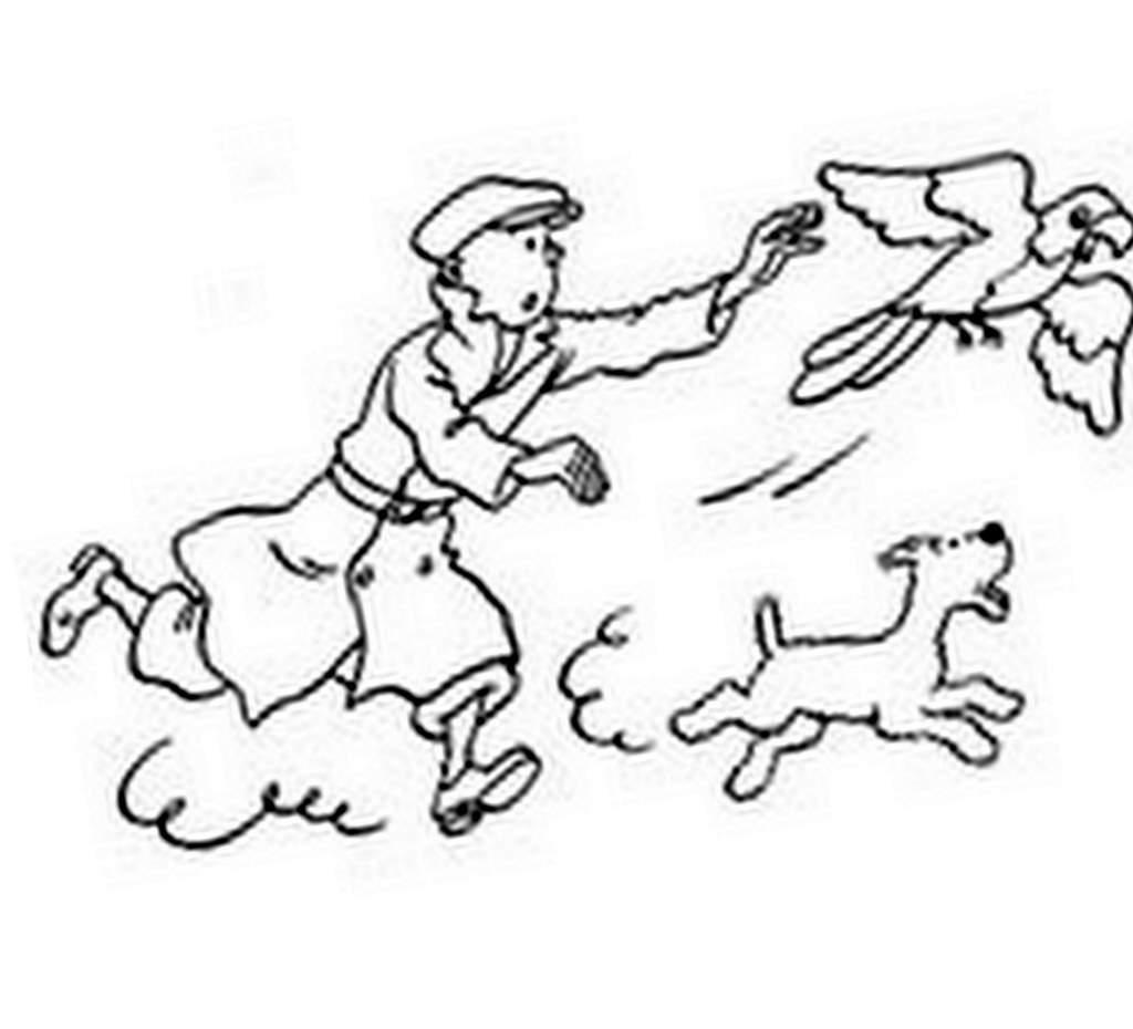 Tintin #20216