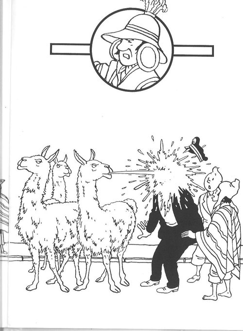 Tintin #20228