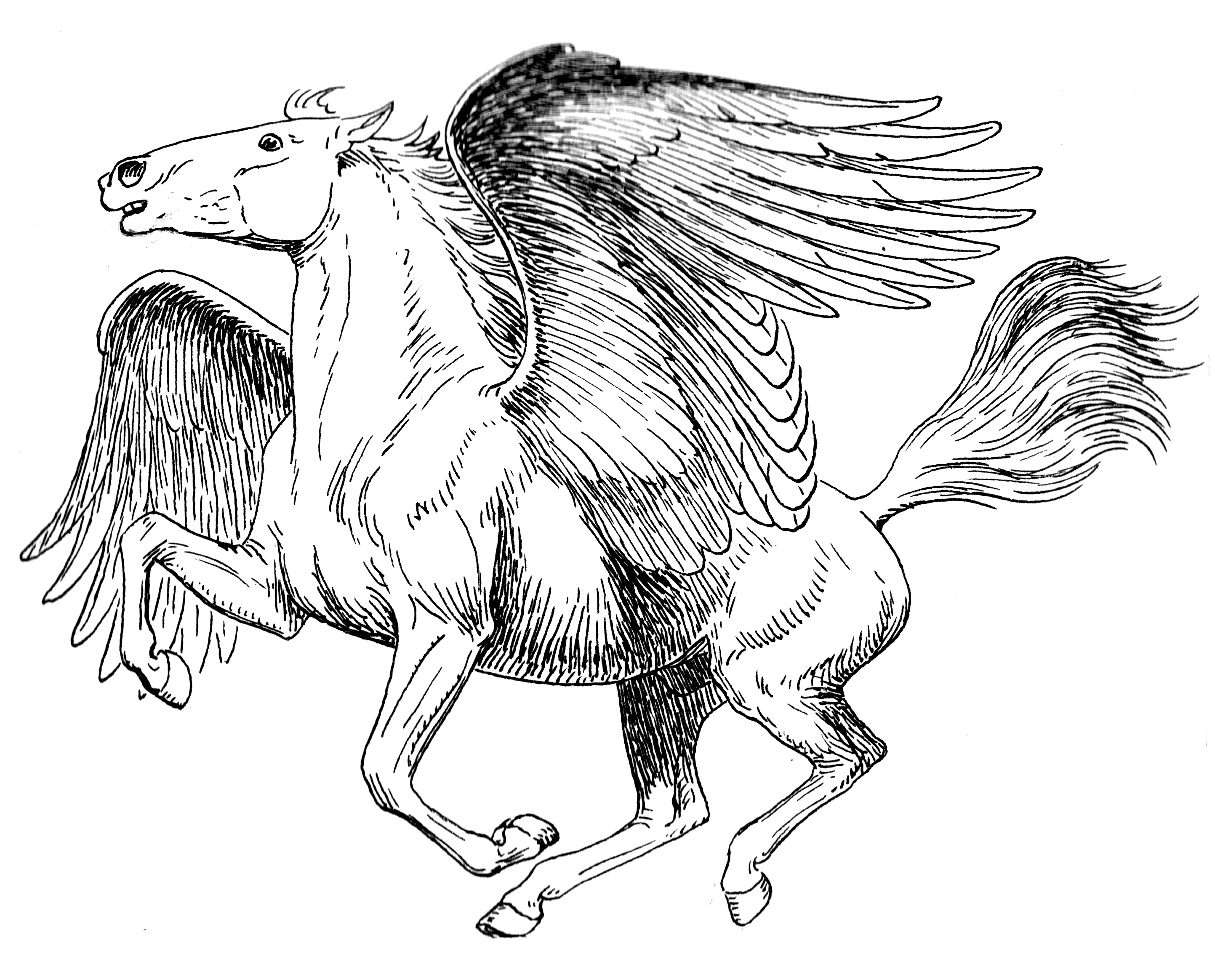 Mitología griega #21077